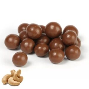 SR Cashew Chocolate (100g)